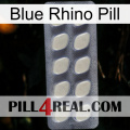 Blue Rhino Pill 08